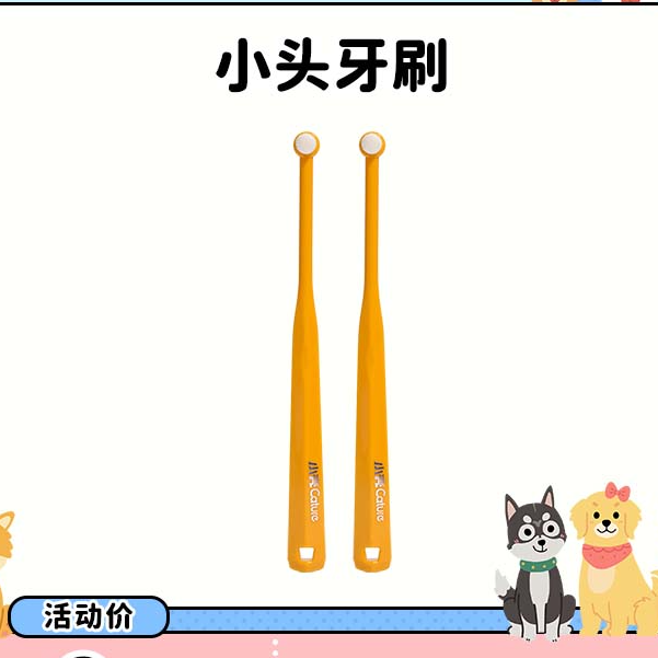 小壳益生菌牙刷刷牙软毛小圆头牙刷