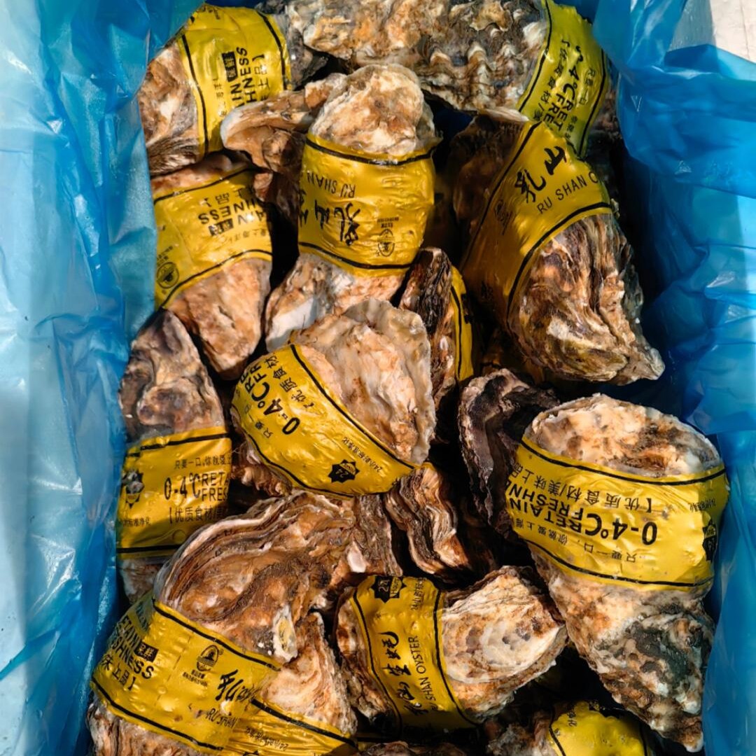 直播专享 鲜活生活4+  (10只装）约2000g