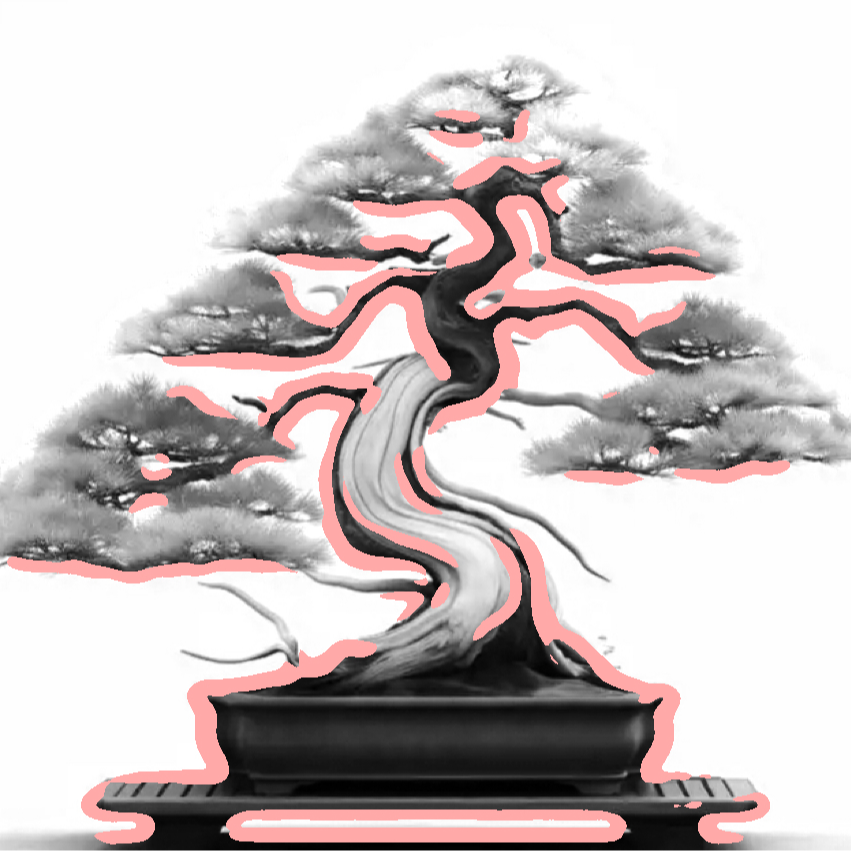 盆景（一物一拍，私拍不发货）