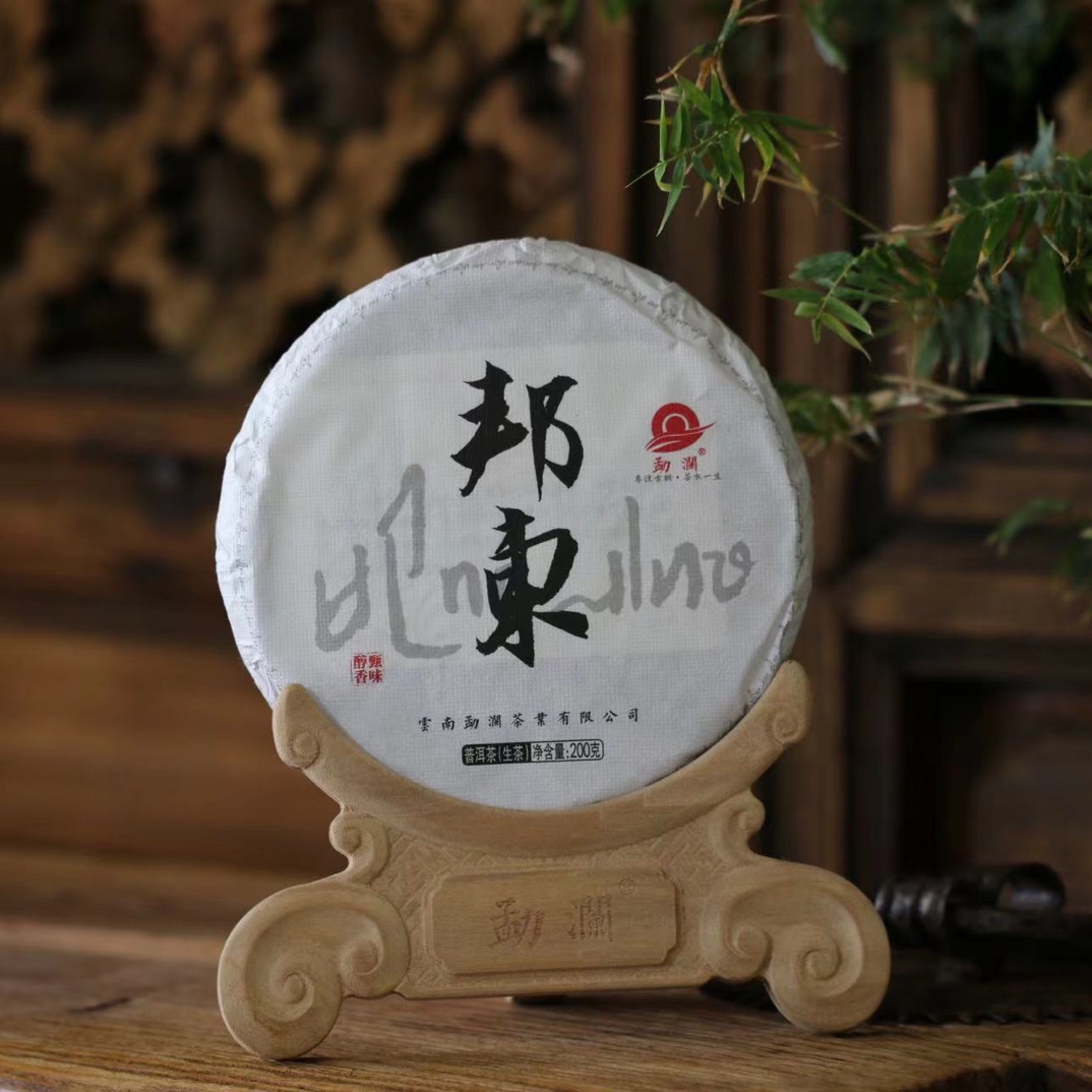 勐澜邦东  200克 岩石从中生长 邦东片区古树茶