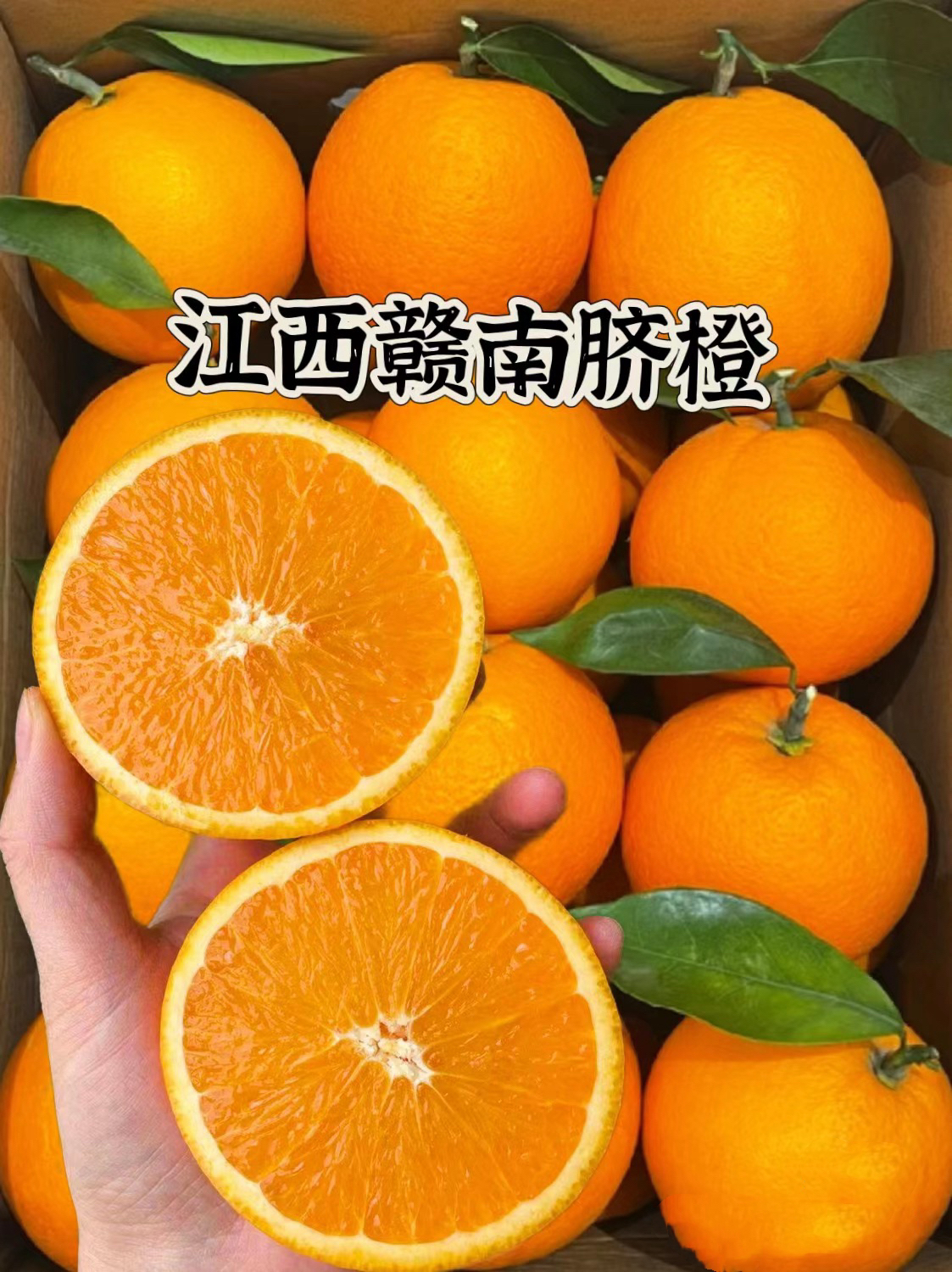 包邮赣南脐橙 香甜脆嫩 橙味十足