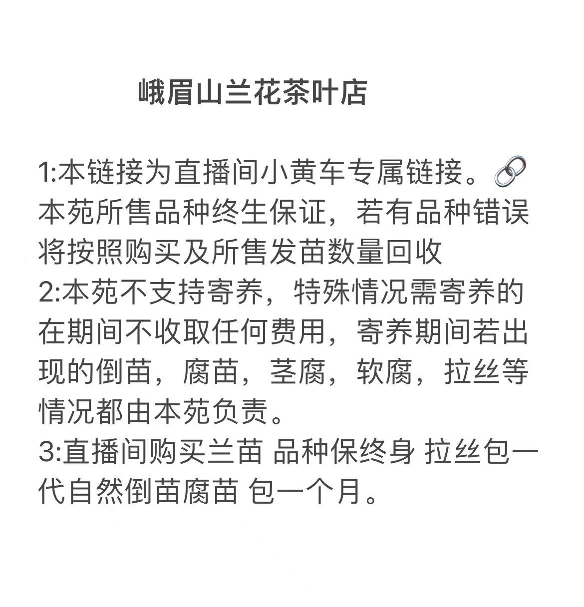 3号链接直播间兰花专拍