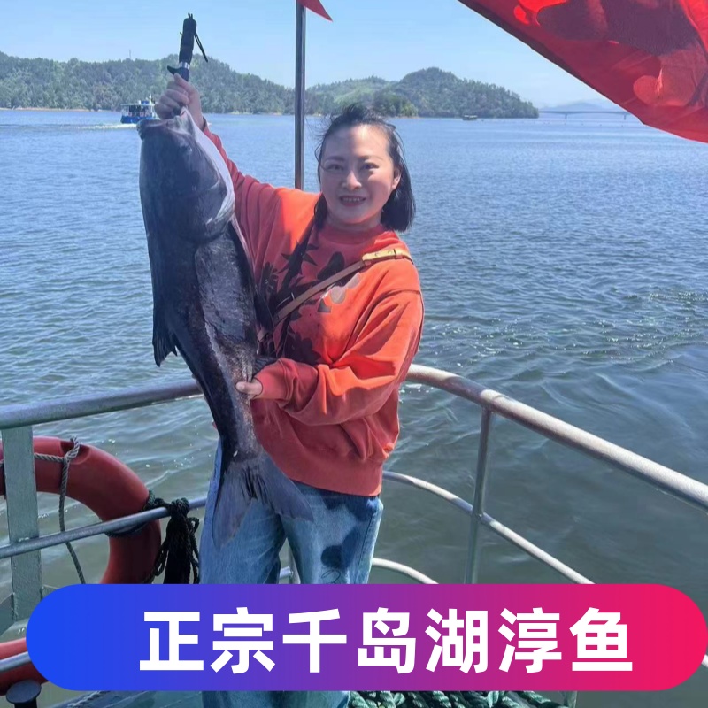 杭州千岛湖胖头鱼大头鱼鲢鳙鱼黑鲢雄鱼花鲢包头鱼活鱼快递包邮