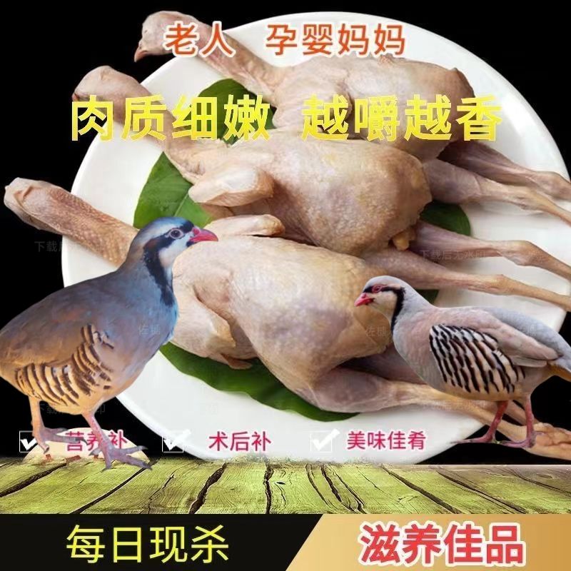 呱呱鸡生鲜发货可吃可