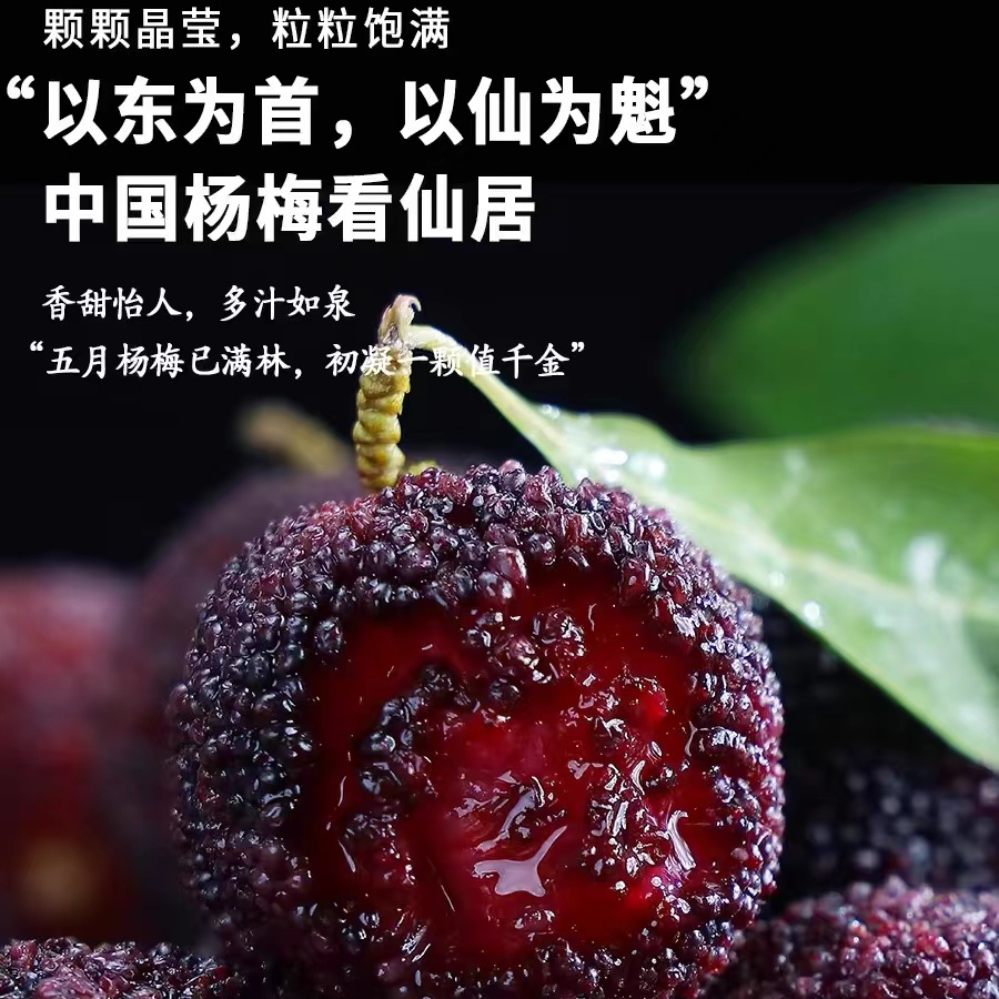 7A中大果！超甜 篮装！仙居东魁杨梅冷链京东买三斤送三斤篮装