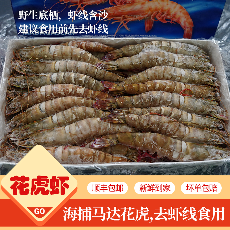 <Q>野生海捕花虎虾鲜活捕捞船冻无冰净重鲜冻2030规格
