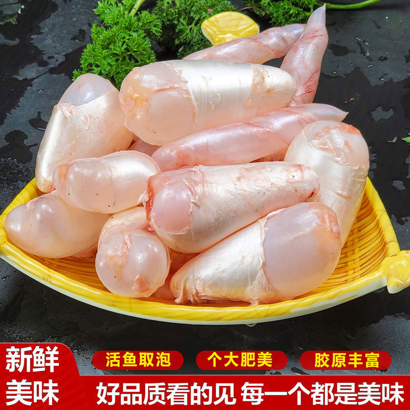 花白鲢鱼泡活鱼现杀现取淡水鱼鱼鳔 鲤鱼鱼籽鱼泡混合装营养丰富