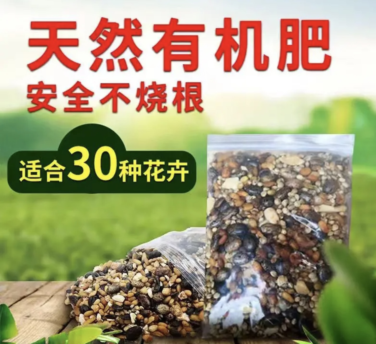 君子兰腰肥底肥氮磷钾肥