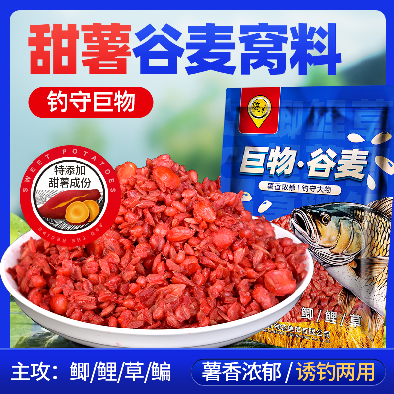 春夏秋季野钓甜薯谷麦打窝料五谷杂粮鲫鲤草鳊鱼通用底窝诱饵鱼食