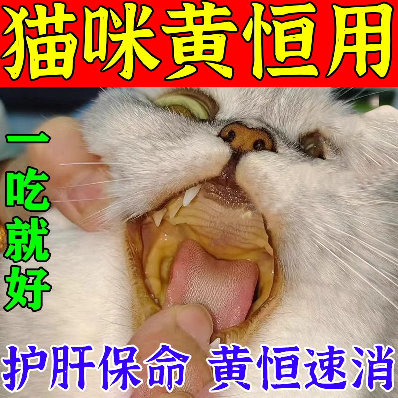 猫咪护肝猫狗黄疸用胰腺炎肝炎皮肤发黄肝厌食呕吐补血肝精专用