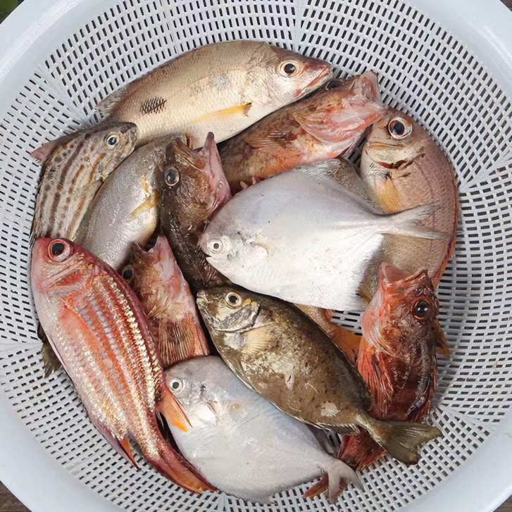 【三目蟹】海捕海鱼海蟹直播间现改现称链接