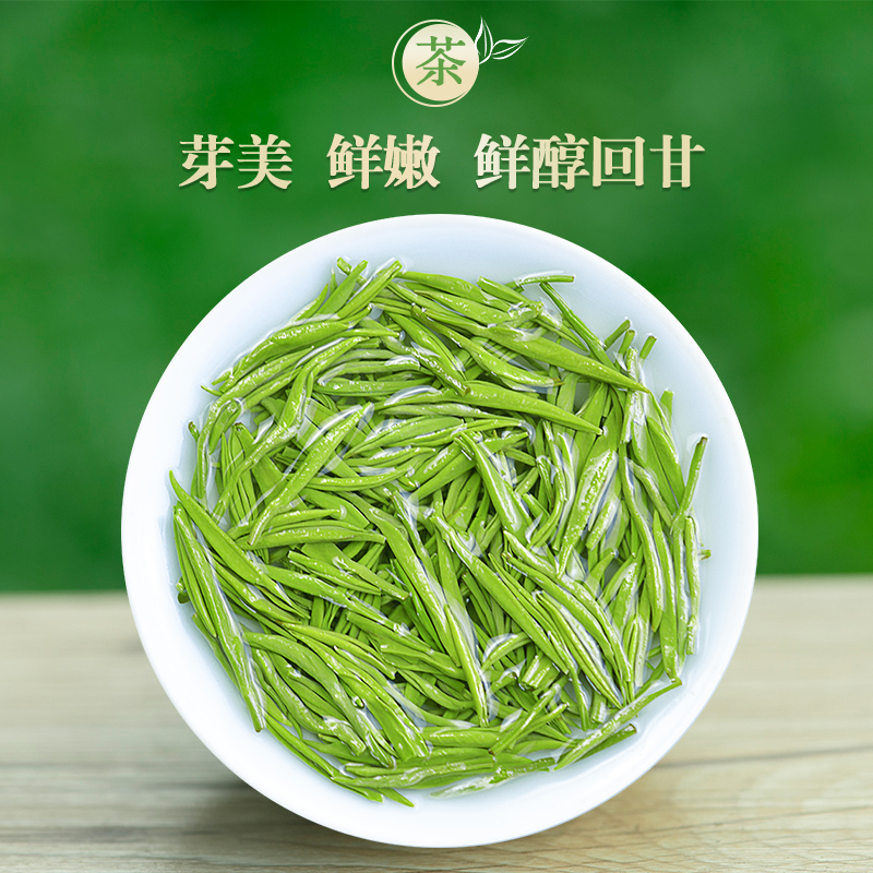 信阳毛尖绿茶2023新茶正宗茶叶明前芽叶浓香耐泡炒青