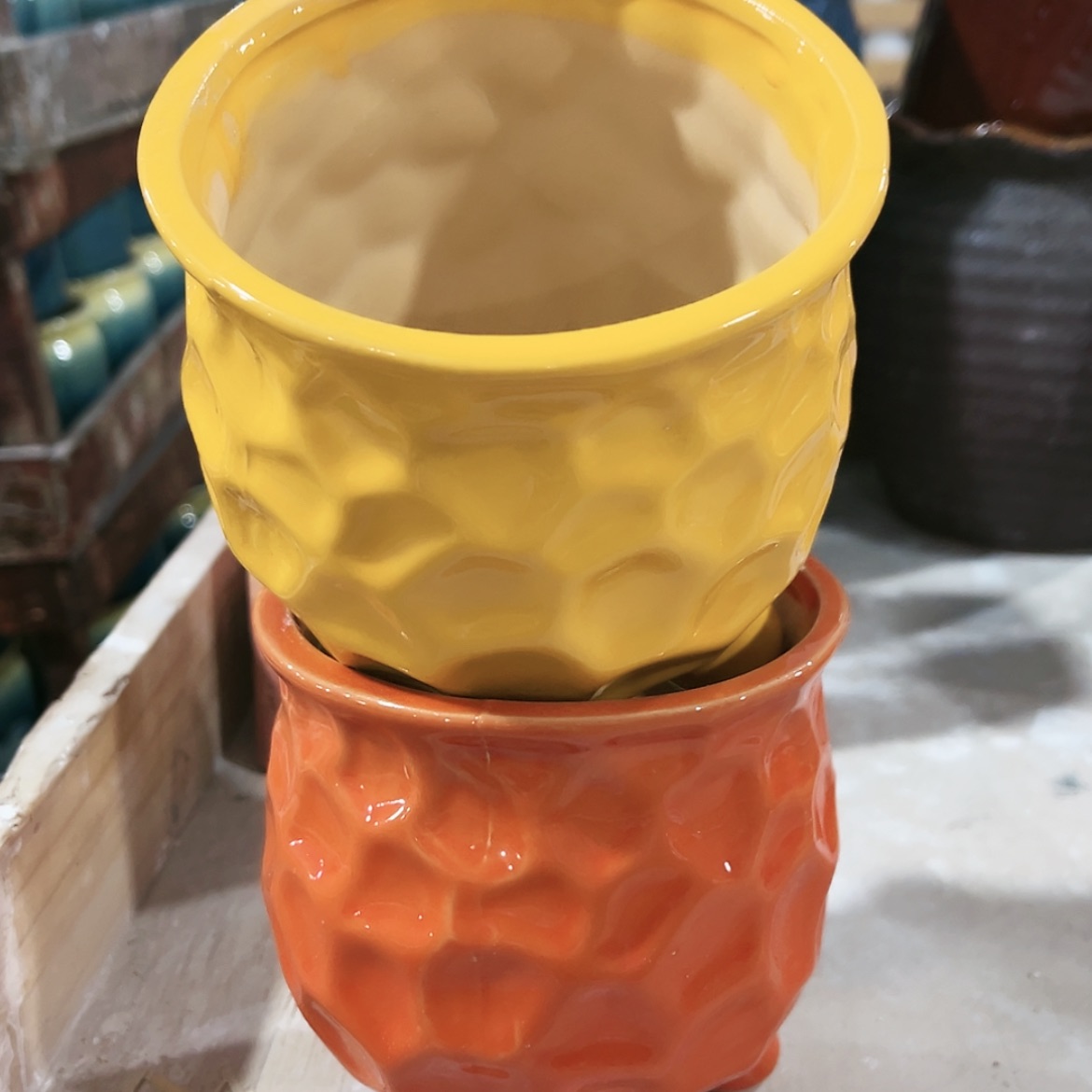 【闪购商品】红陶15cm以下