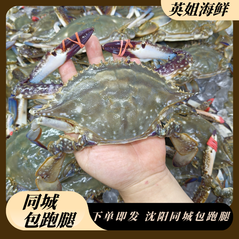 小公飞蟹三斤起仅限沈阳市内拍【保鲜不保活】 一只2~3两左右
