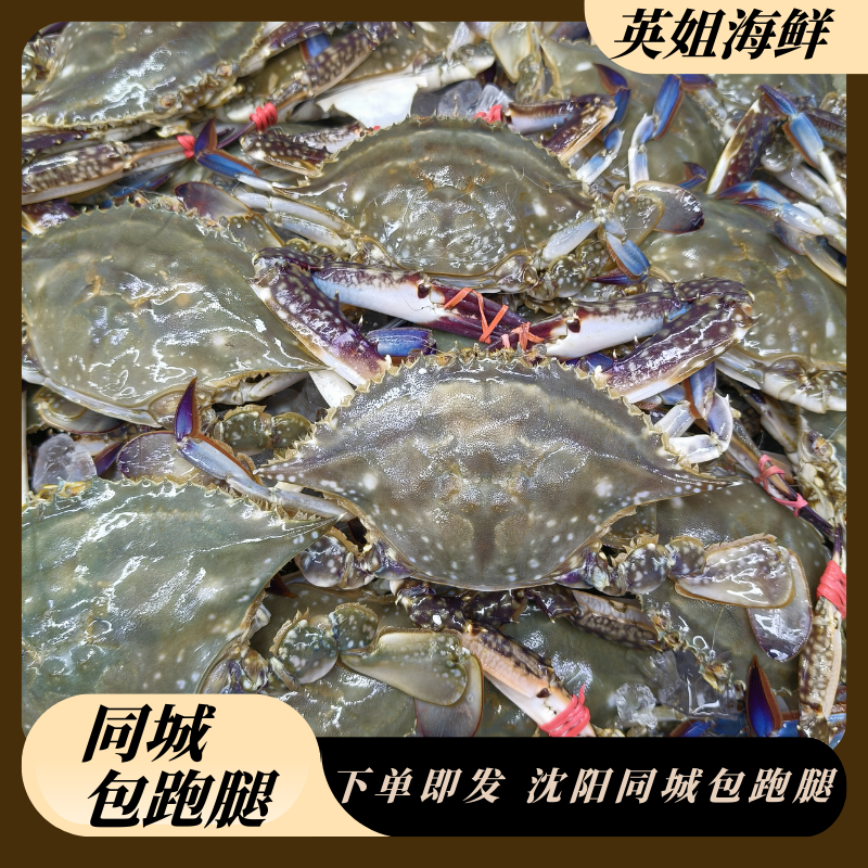 小公母随机蟹2斤起仅限沈阳市内五区拍单只2两左右【保鲜不保活】