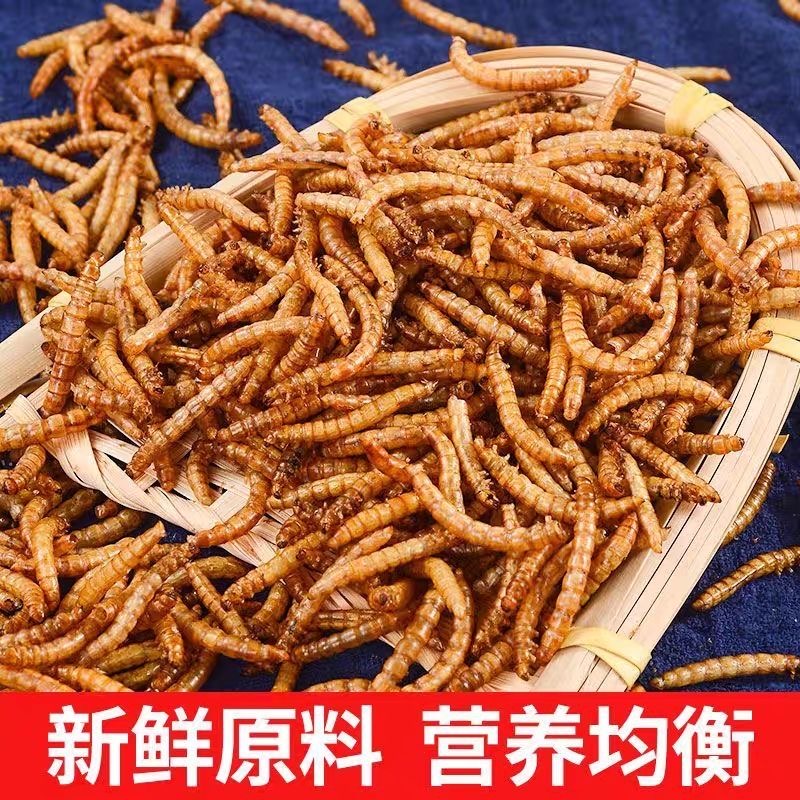 花枝鼠仓鼠磨牙小零食高蛋白面包虫干