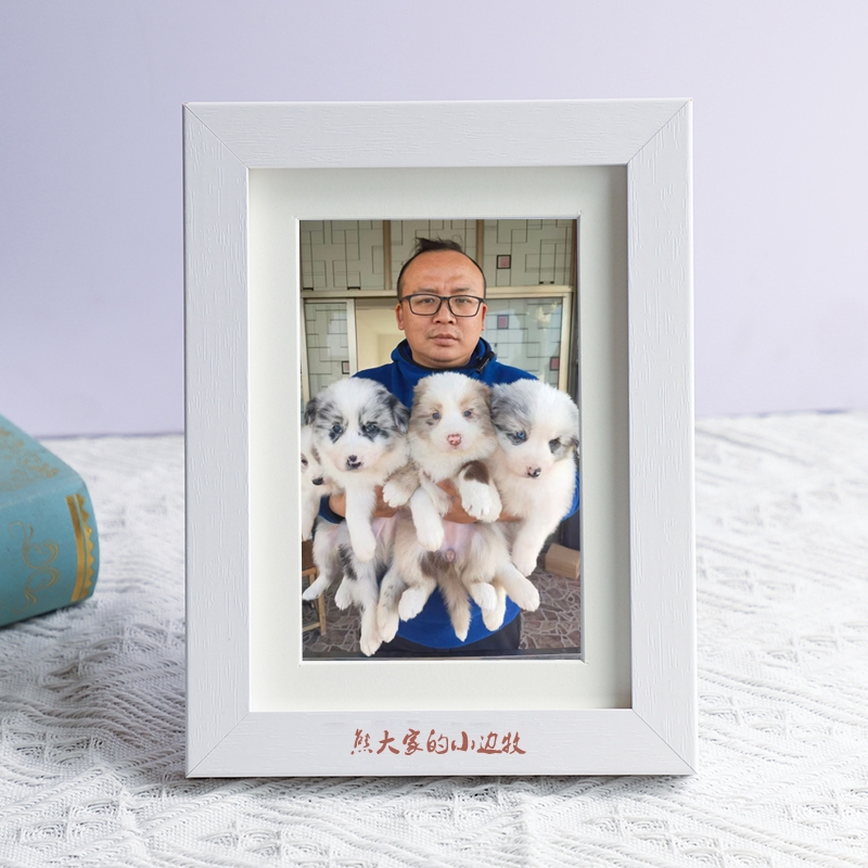 熊大边牧，陨石定制相册