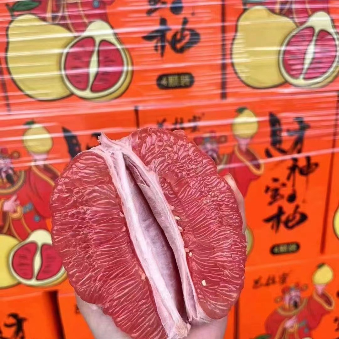 【精品礼盒】财神”宝“柚 4个装