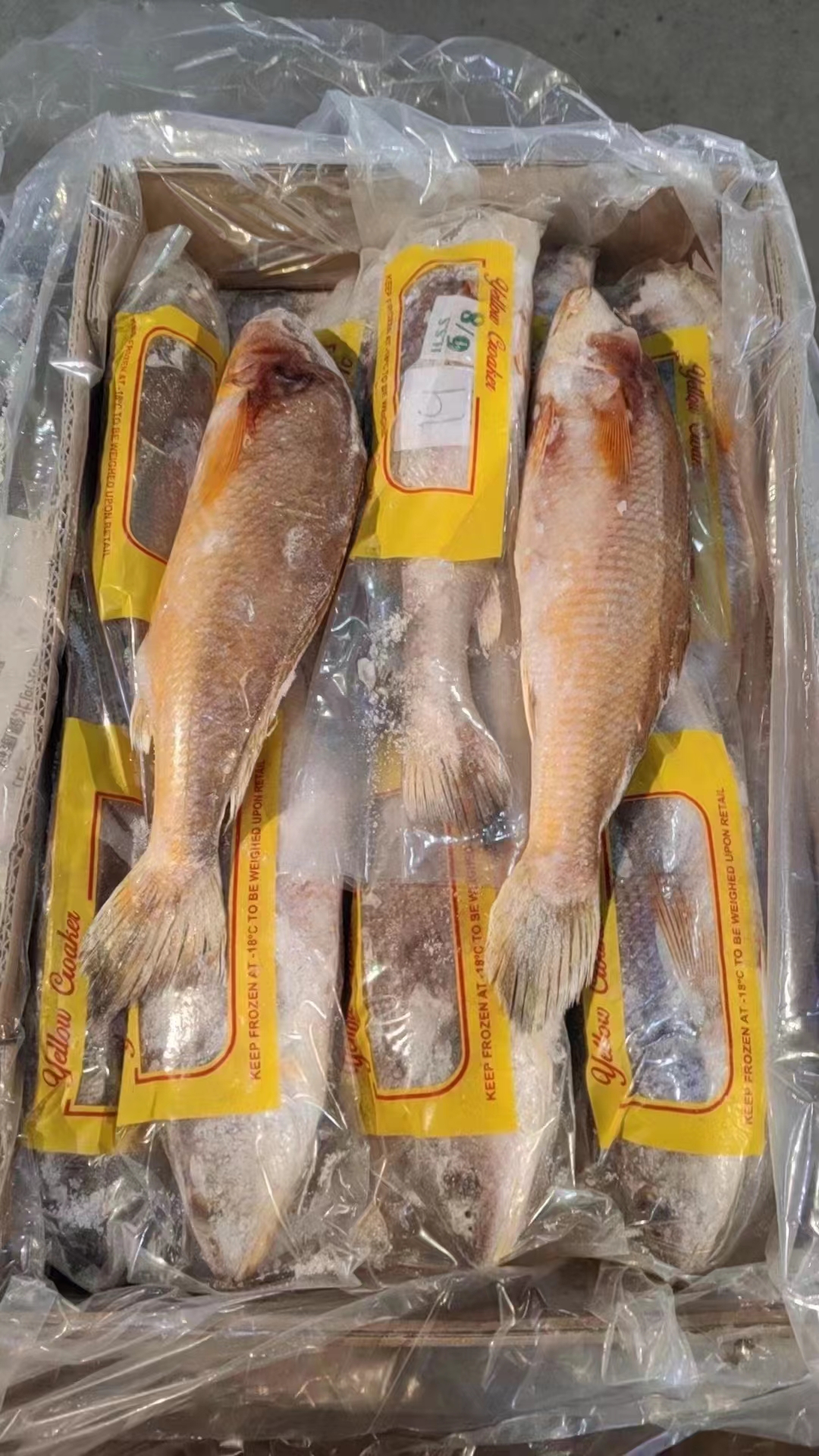 【冰鲜】缅甸泰黄鱼