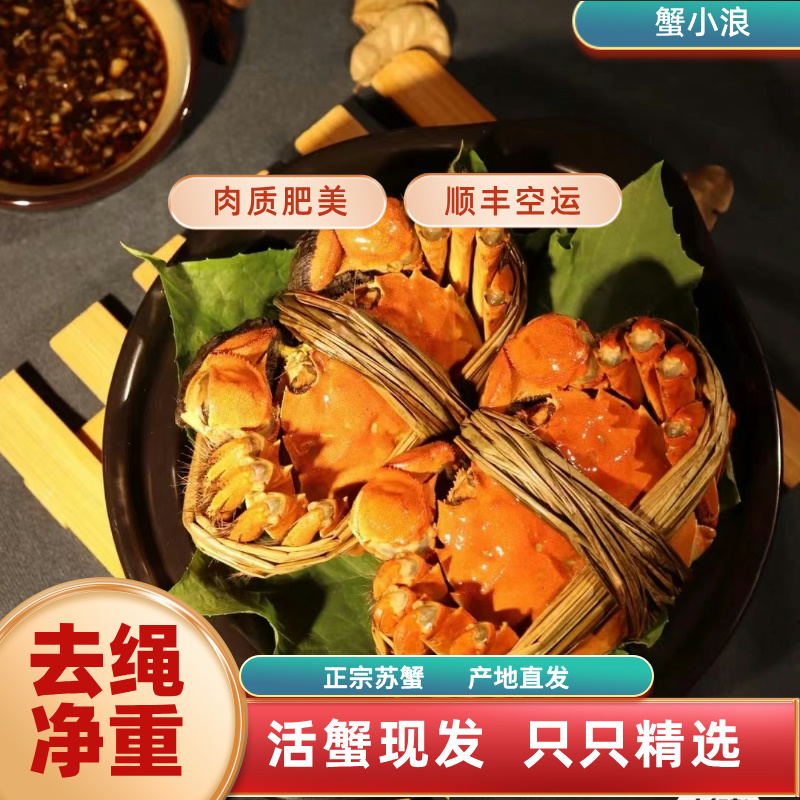 蟹小浪【活蟹】苏州精品大闸蟹全母蟹鲜活礼盒装2.7-3两 8只送2只