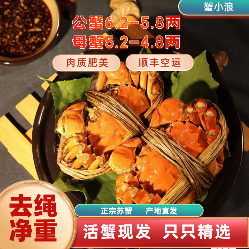 蟹小浪【公蟹6两母蟹5两】苏州精品大闸蟹活蟹原厂地发货精选礼盒装