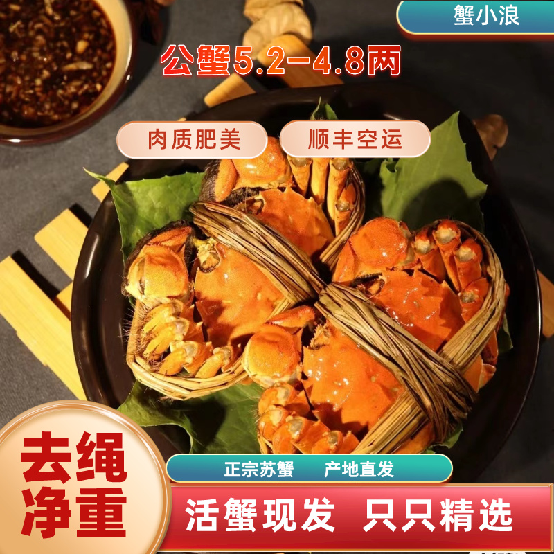 蟹小浪【全公蟹5两】苏州精品大闸蟹活蟹原厂地新鲜发货精选礼盒装