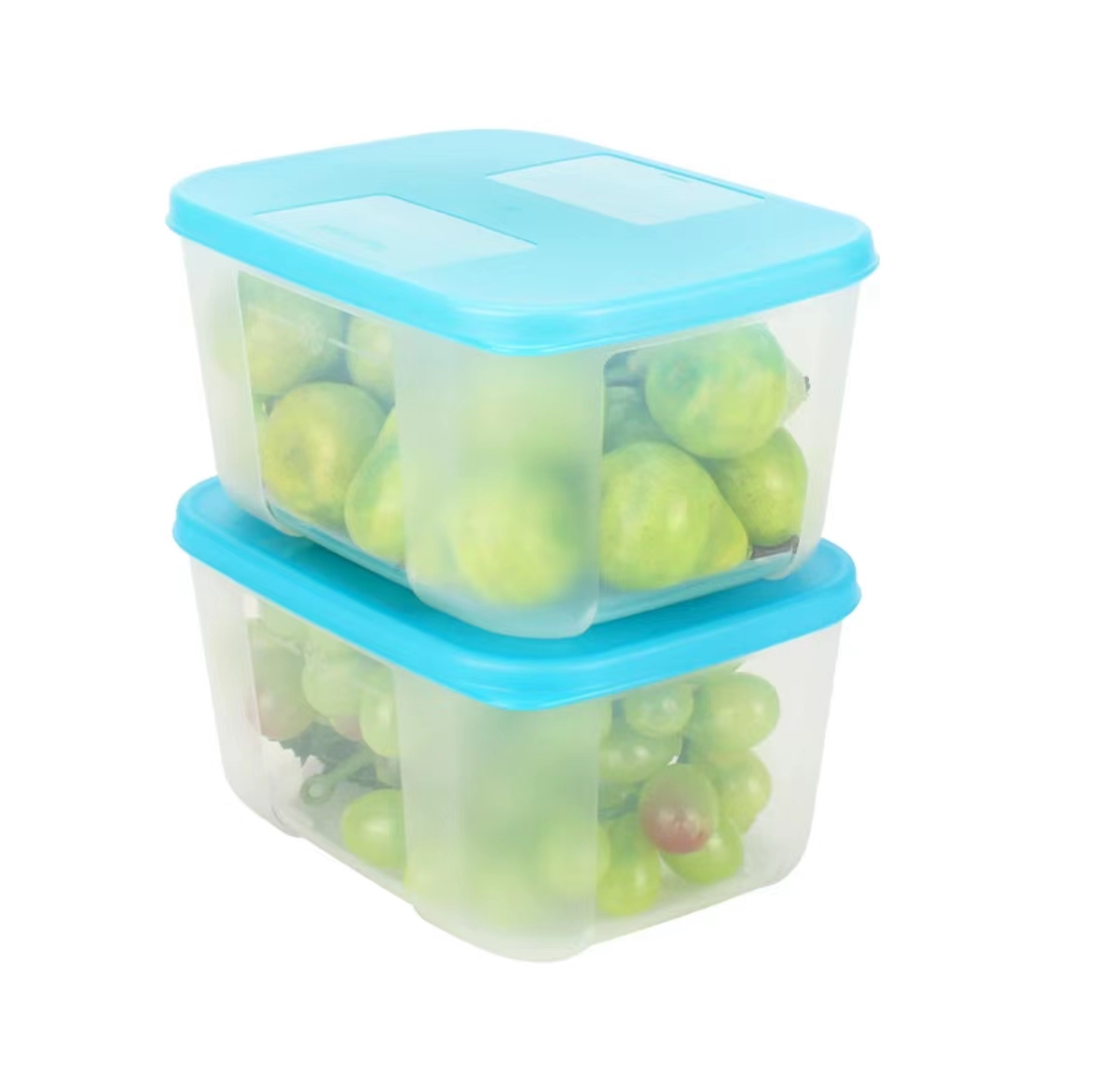 【639】特百惠700ml冷冻盒冰箱收纳密封储藏盒 (深/浅蓝盖子随机)