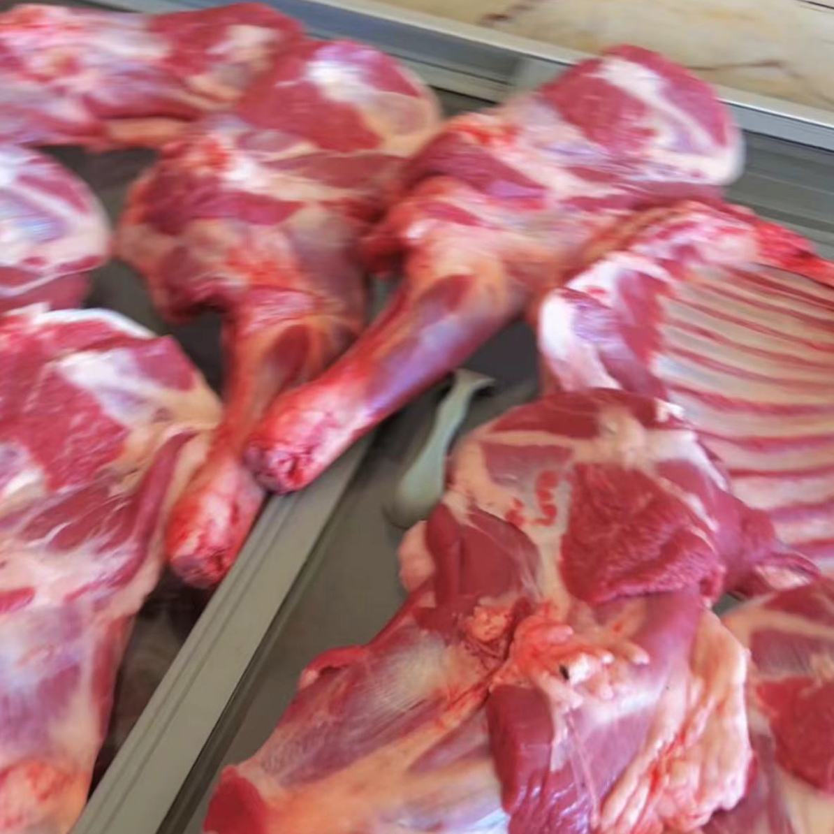 正宗清真生鲜带骨波尔山羊腿（5斤起拍）顺丰包邮