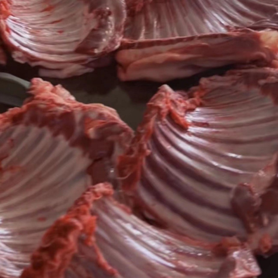 清真，生鲜多肉波尔山羊排（5斤起拍）