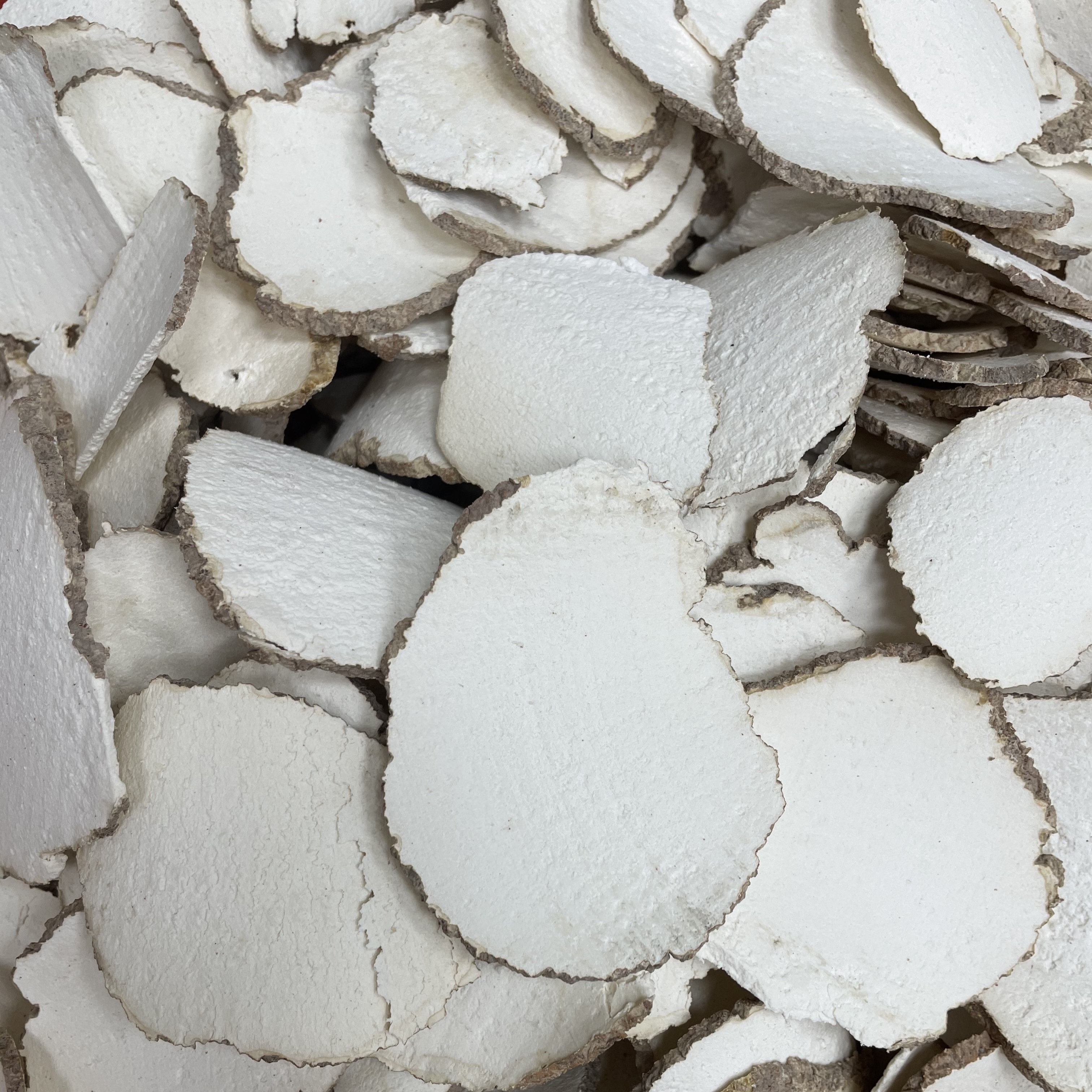 ［虎乳菌］可煲汤可煮水品质好可搭配茯苓