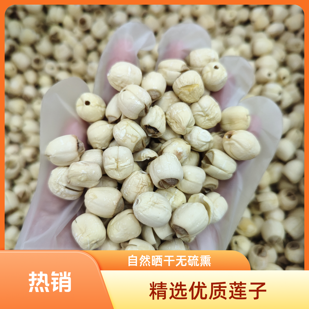 ［纯手工莲子］无硫磺可煲汤做甜品