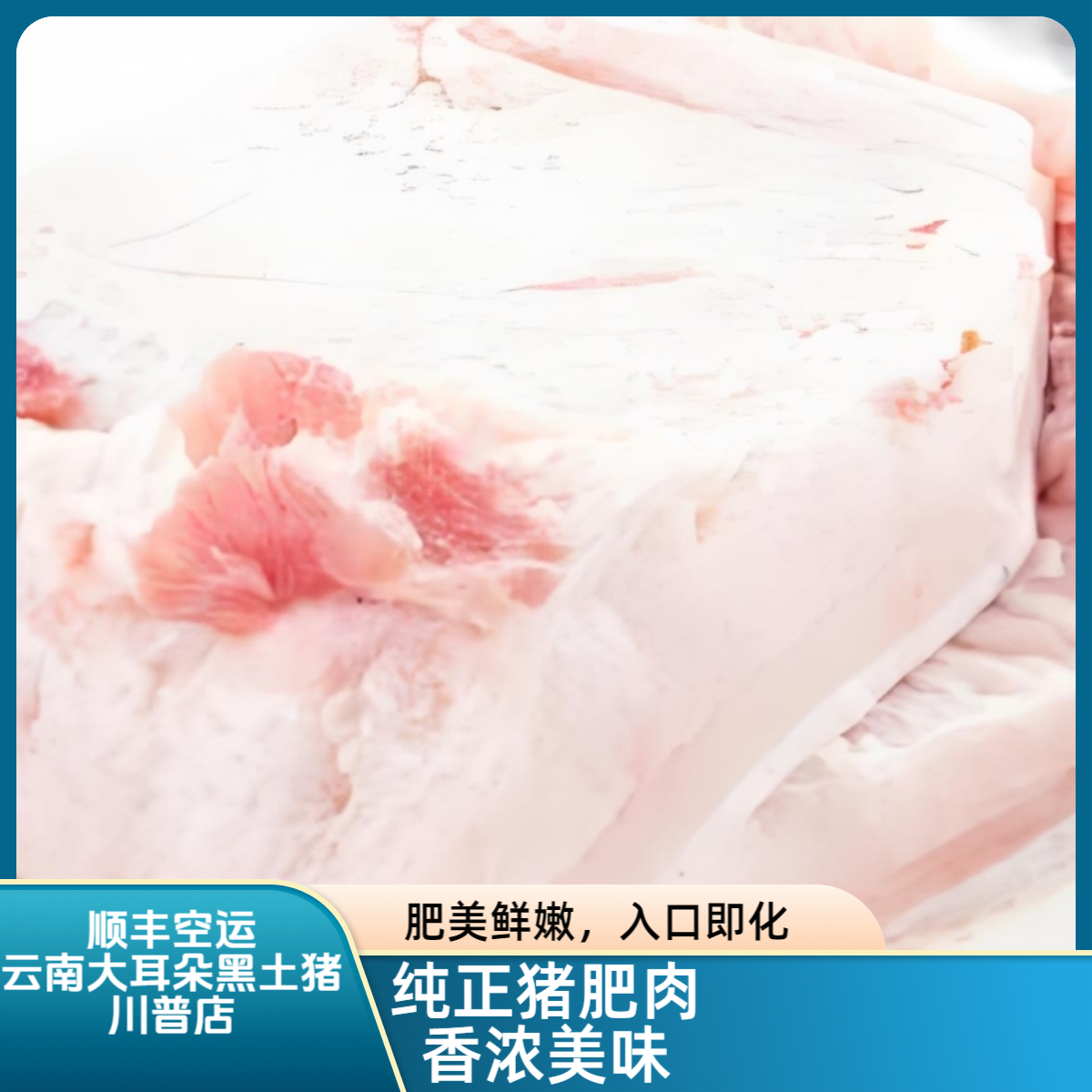 川普优选纯粮食猪肥肉6斤生鲜备货后不退款慎拍 直播间称重