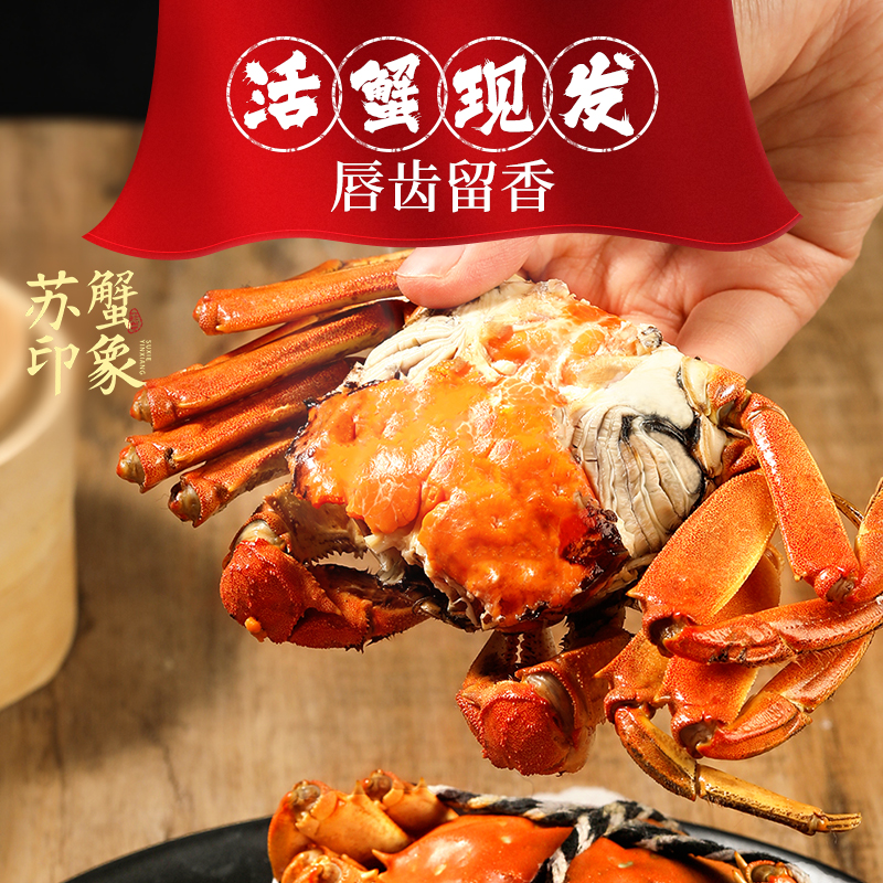 （江苏活蟹直发）新鲜活蟹 全母2.7两-2.4两      10只 顺丰鲜达