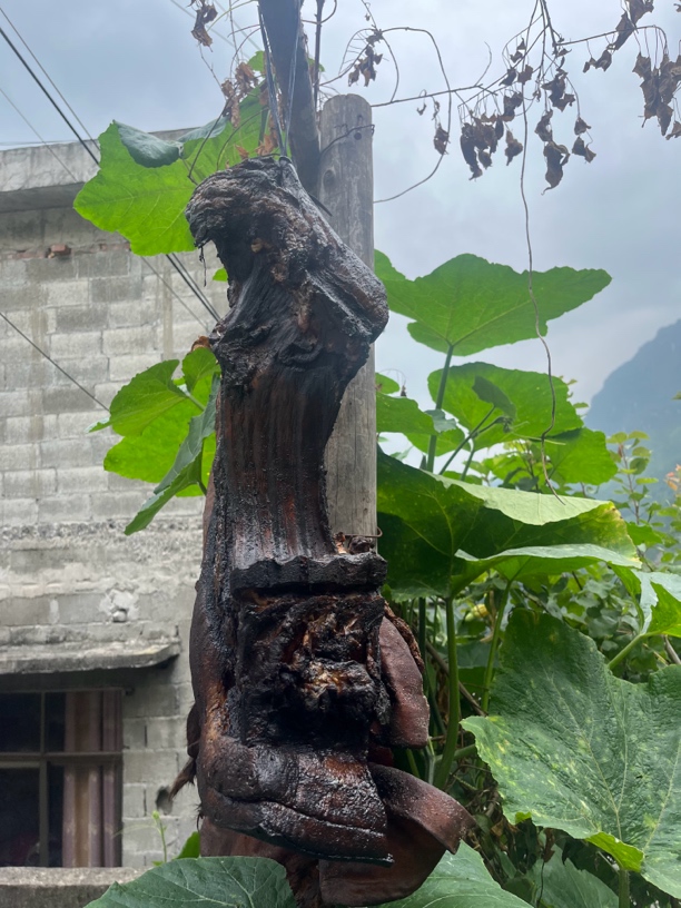 【农民好物】农家土猪腊肉现场称重