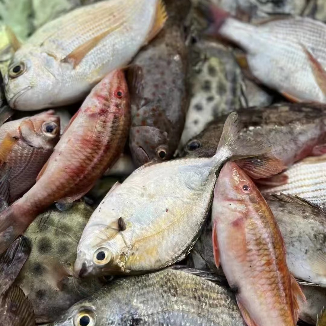 【鲜出海改价组合2号】直播间现场 小船新鲜海鲜套餐 改价