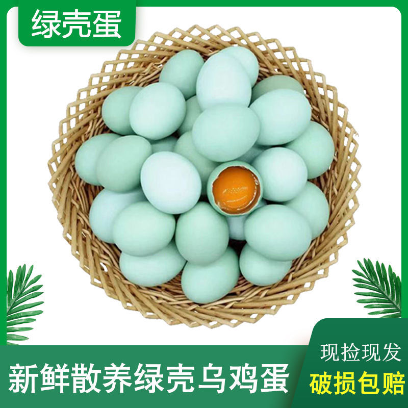 【攀娃儿自家养殖】农村散养绿壳乌鸡五黑鸡土鸡蛋新鲜鸡蛋30枚包邮