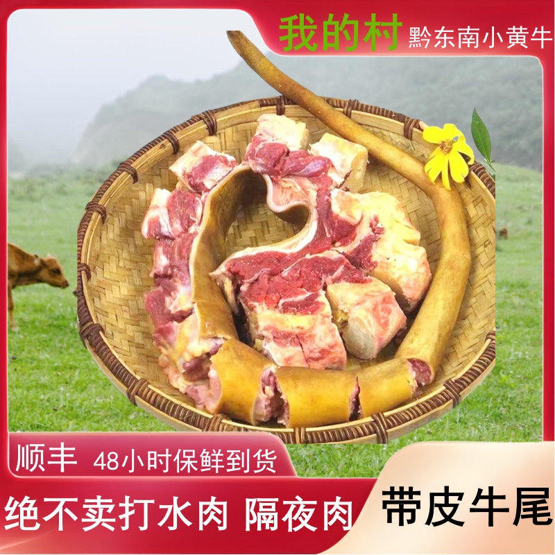 【我的村 新鲜带皮尾巴】贵州正宗散养小黄牛新鲜整根带皮牛尾巴