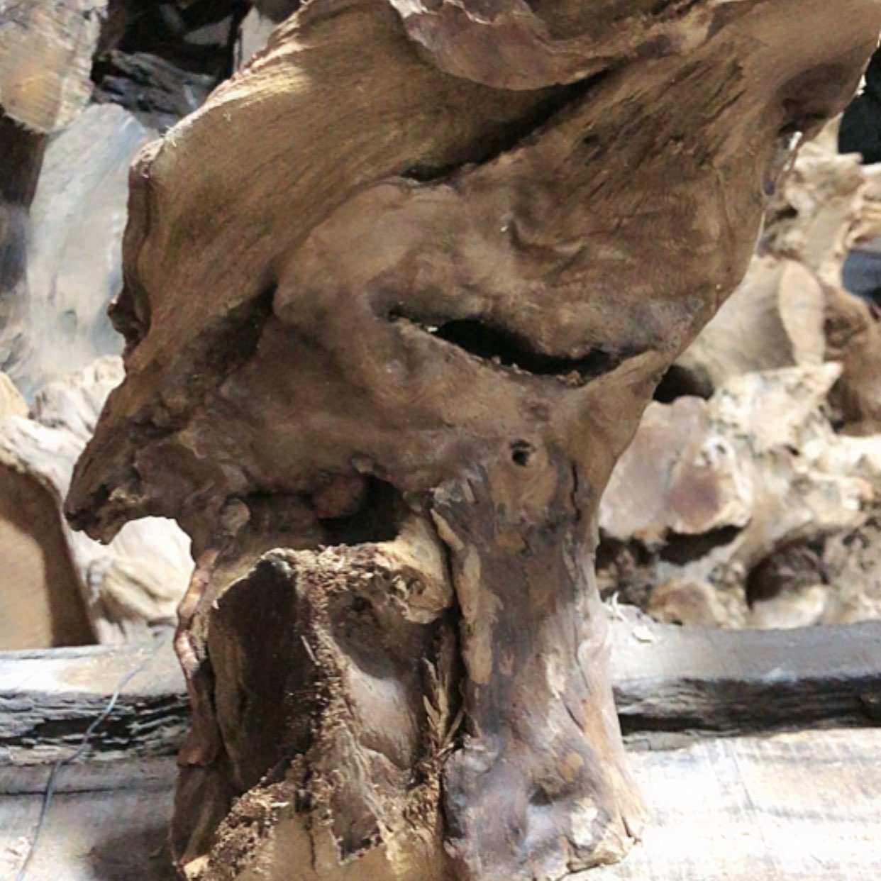 【闪购商品】红贵宝