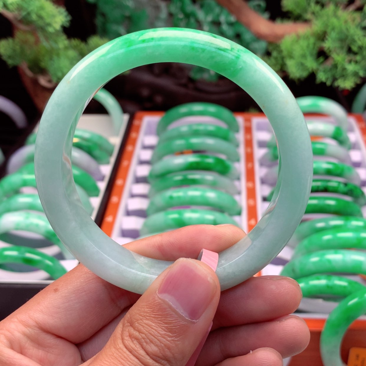 【闪购商品】翡翠手镯未镶嵌马*