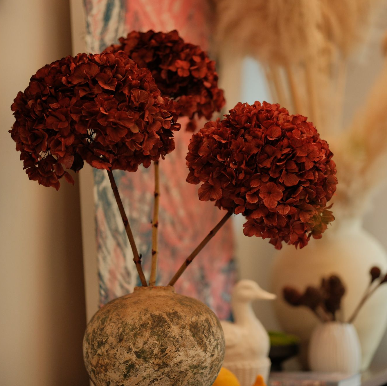 【大叶绣球花】永生绣球花安哥拉年宵花真花网红爆款2025最新款