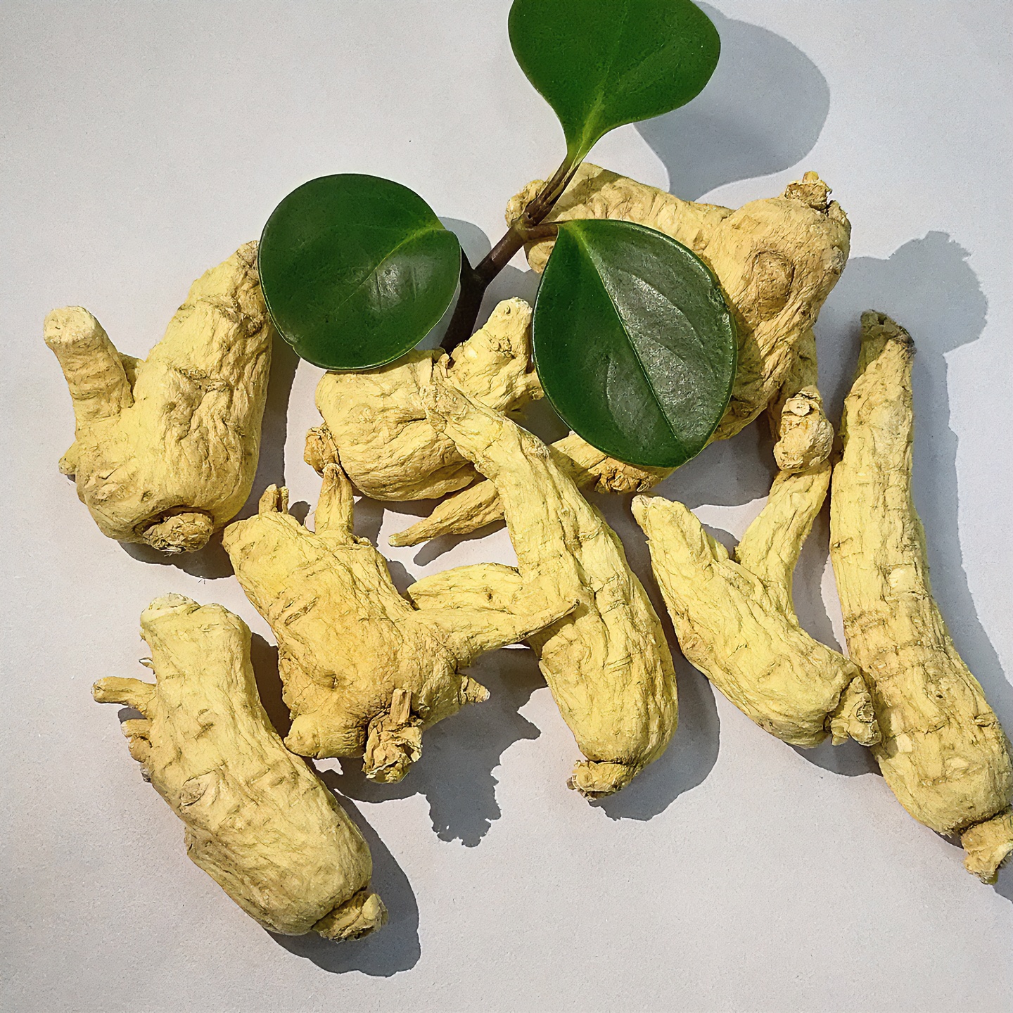 纯软质西洋参五年龄整枝原料长白山西洋参产地直发原皮原色一手货