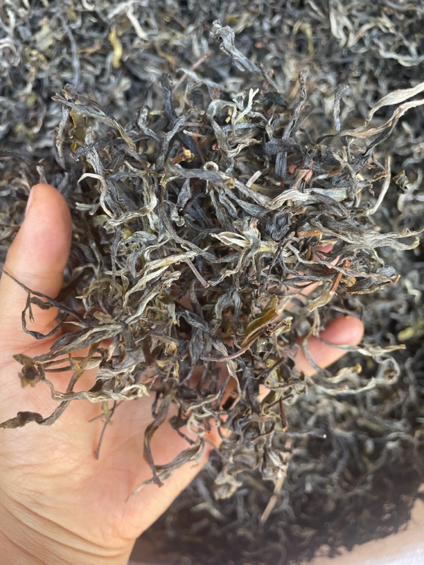 石茗源2025原始林古树散料（尝鲜价）