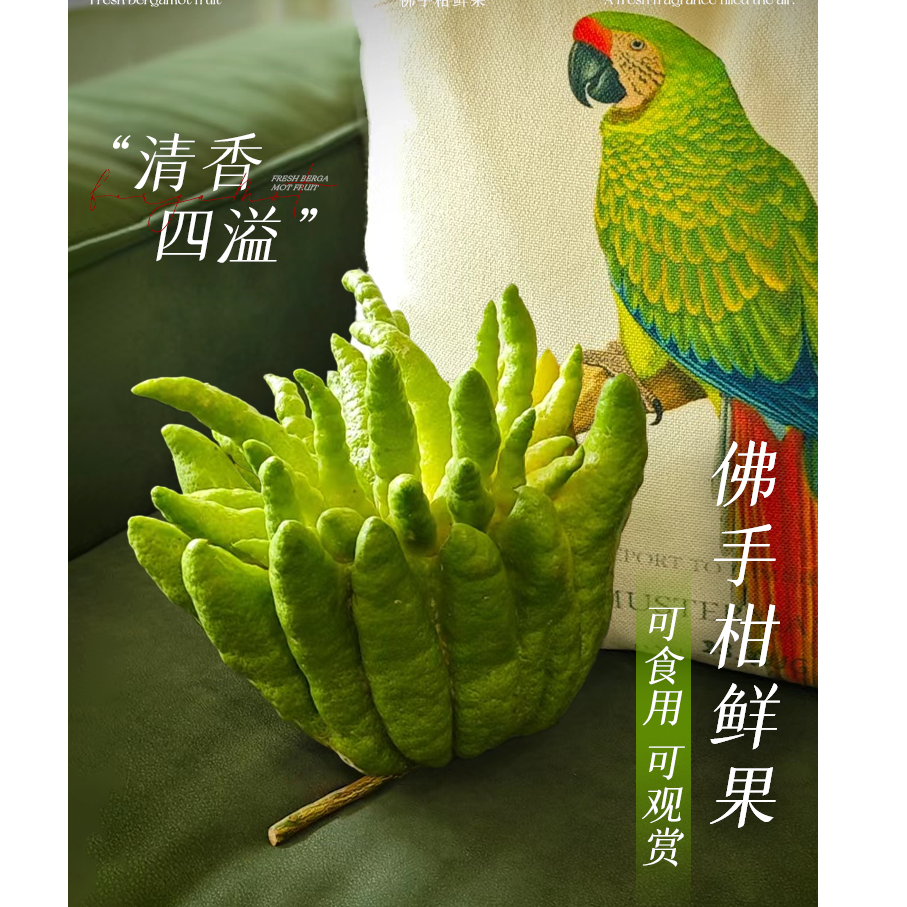《佛手柑》顺丰包邮云南高山佛手清供观赏摆件闻香天然香薰鲜切佛手