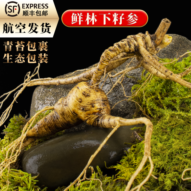 长白山现挖人参食用保鲜参 整支泡酒煲汤【坏了包赔】