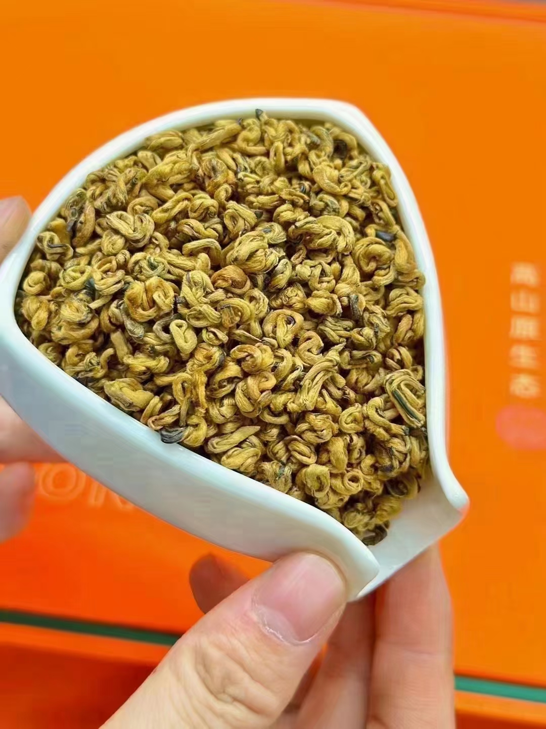 280头春 金螺王【蜜薯香】