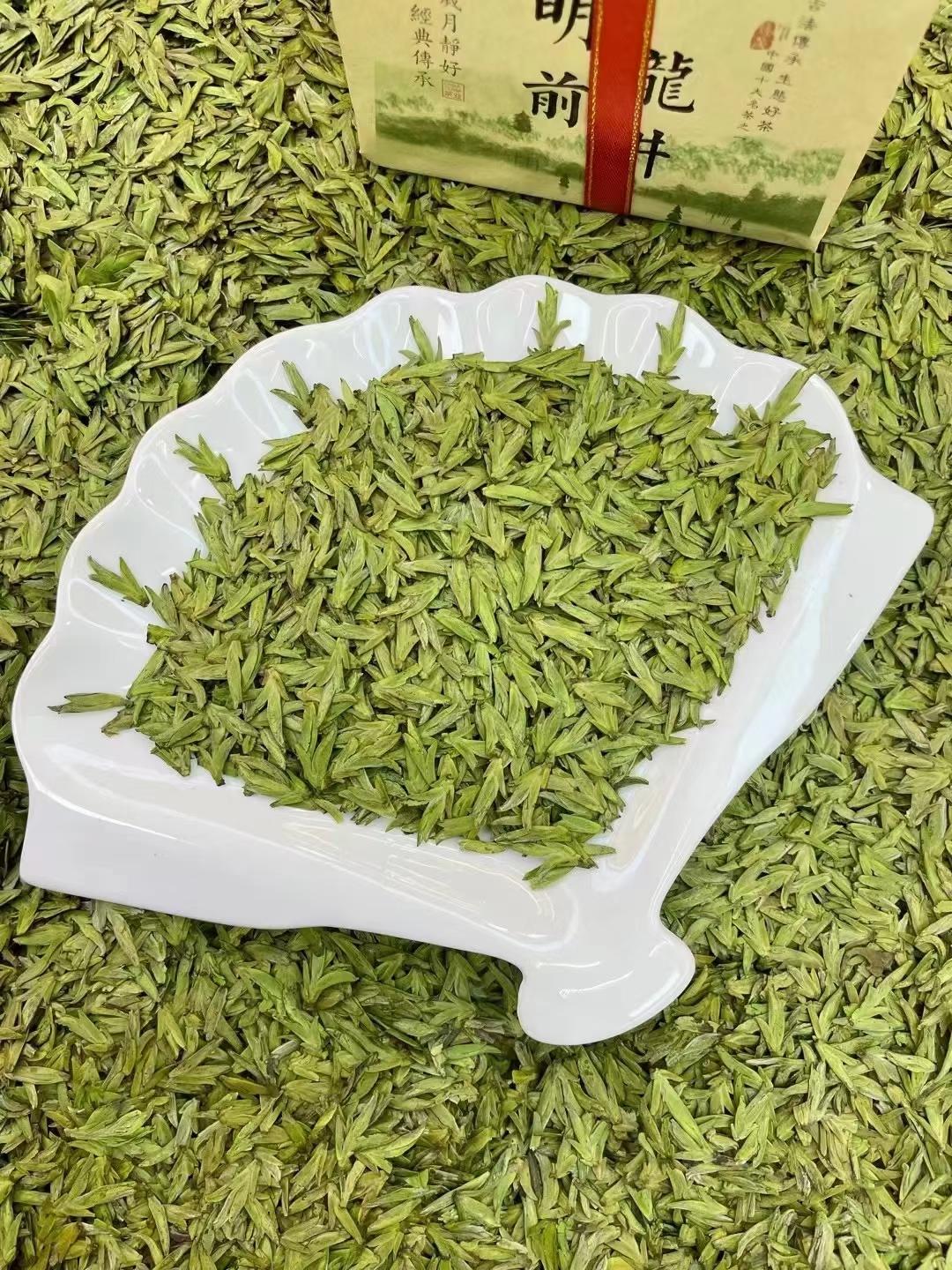 头采龙井茶【9开头 清香甘甜】