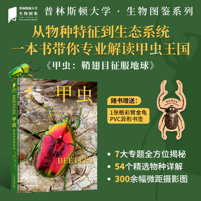 甲虫 普林斯顿大学生物图鉴 中国国家地理图书昆虫自然科普读物