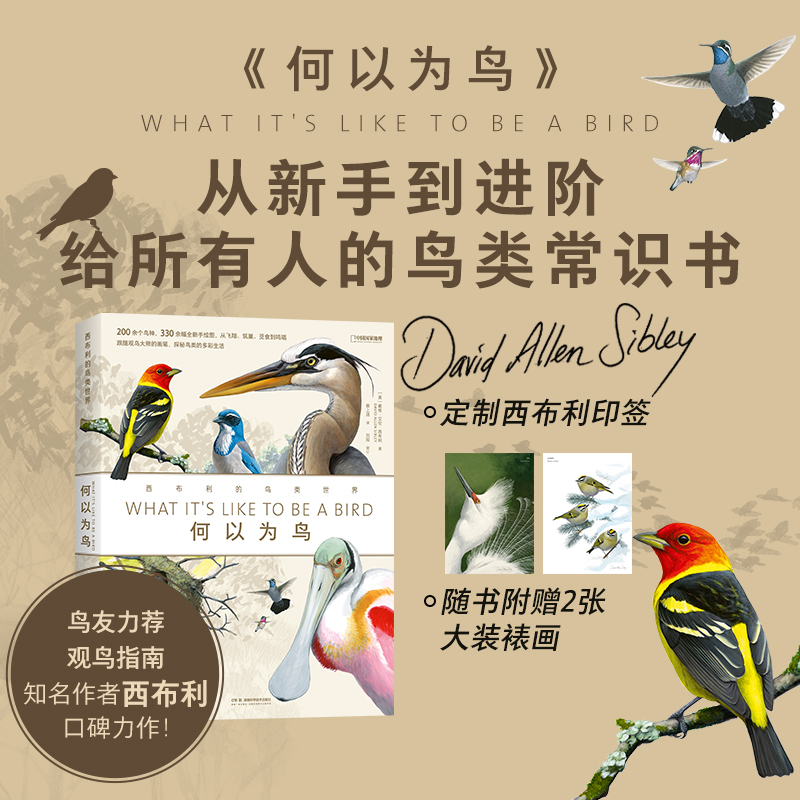 何以为鸟：西布利的鸟类世界 