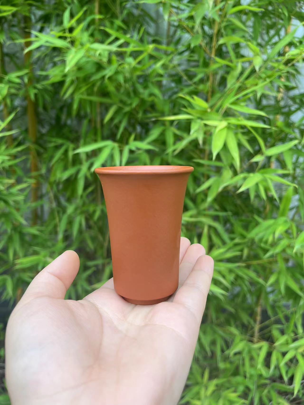 赵庄朱泥生砂生料原矿主人杯