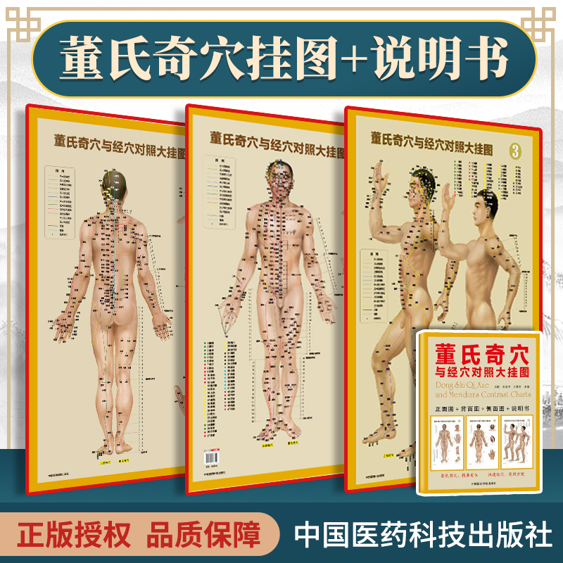 正版3张 董氏奇穴与经穴对照大挂图 可搭配邱雅昌杨维杰董氏奇穴